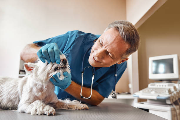 Best Emergency Denture Repair in Bergenfield, NJ